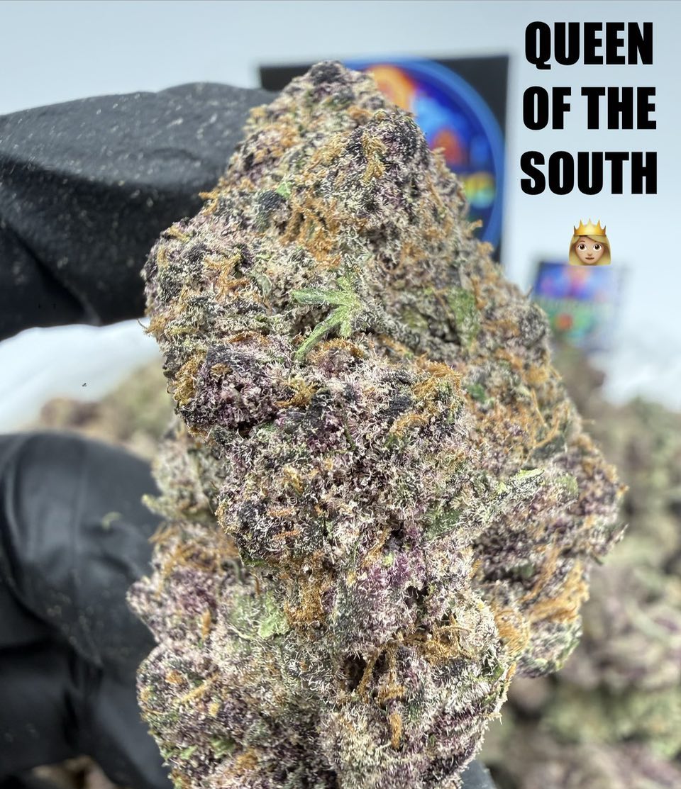 QUEEN OF THE SOUTH Slide 3